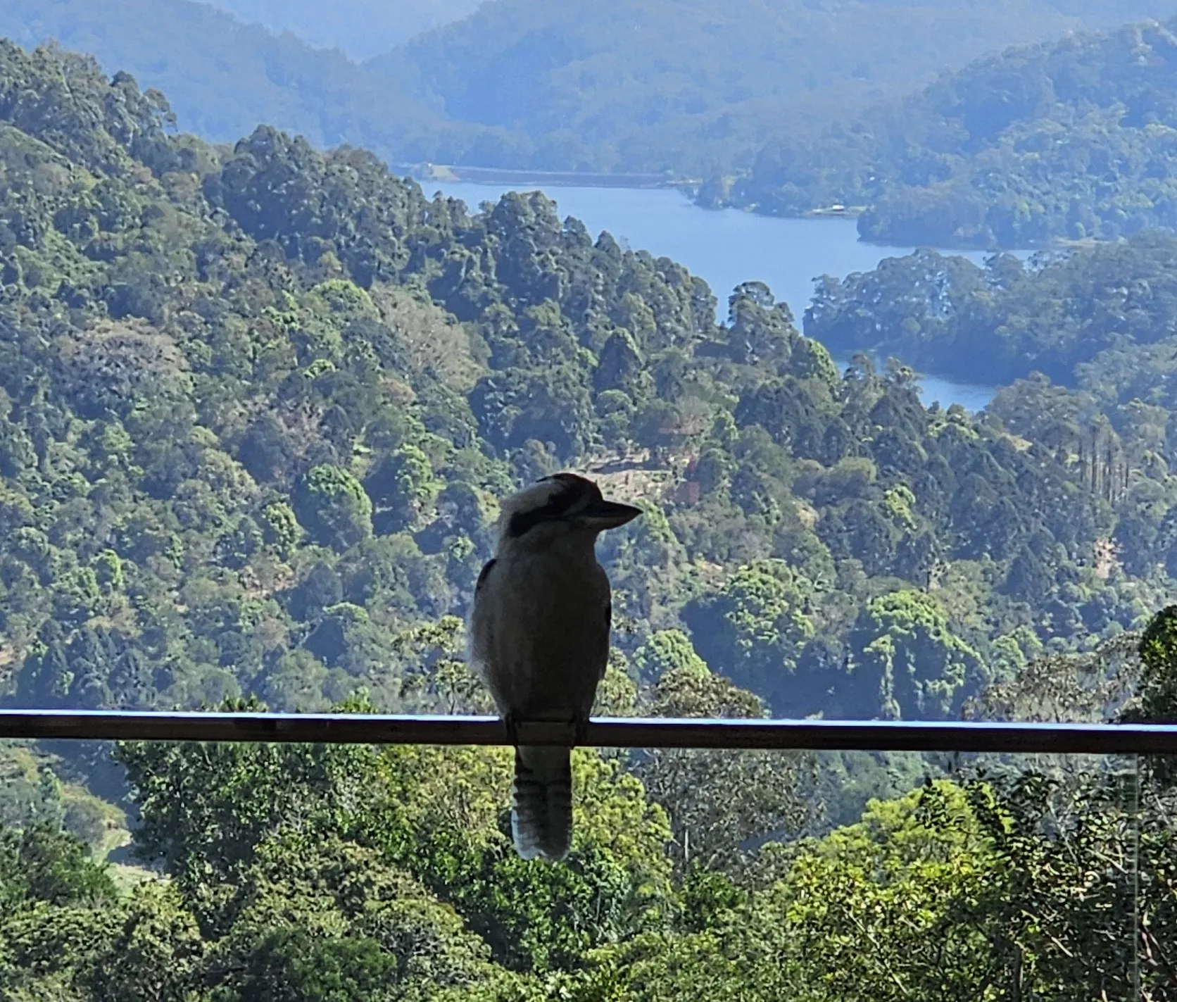 A Birdwatchers Paradise on your Doorstep