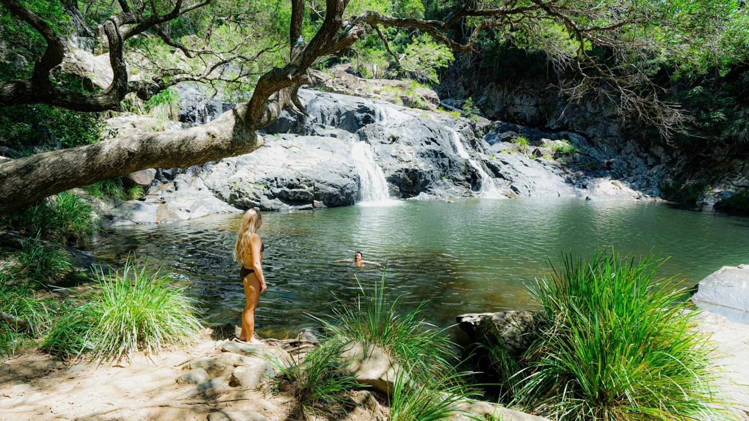 Booloumba Falls (Conondale National Park)