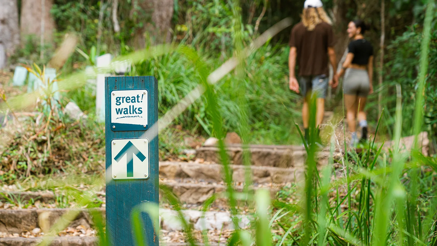 Sunshine Coast Hinterland Great Walk